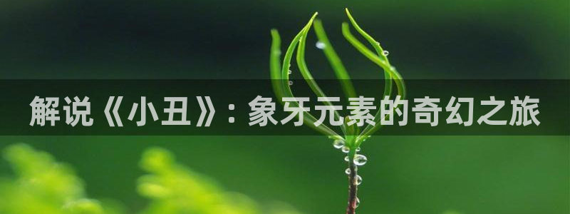 新闻图片