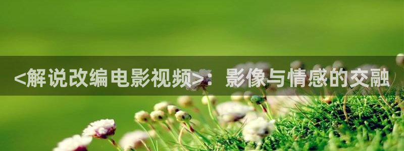 新闻图片