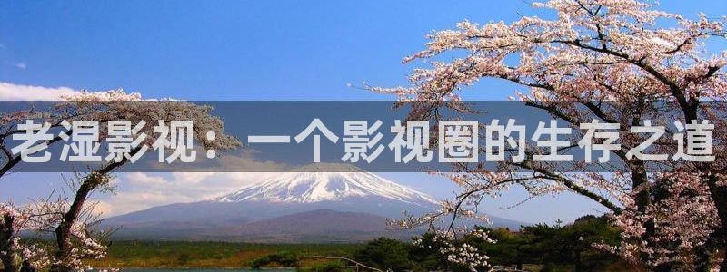 新闻图片