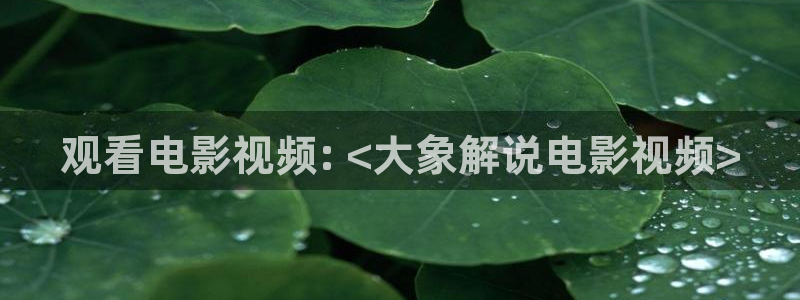 新闻图片