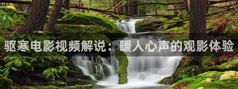樱桃小视频在线视频观看