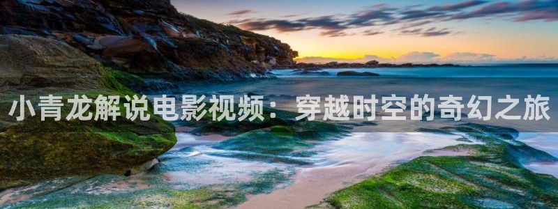 樱桃影院免费观看电视剧大全抢下新