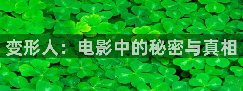 樱桃视频老版本