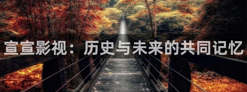 樱桃视频影院免费播放