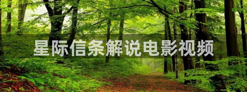 樱桃视频免费版在线观看