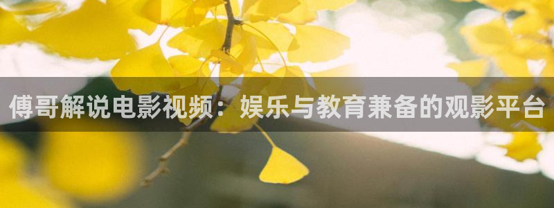 樱桃视频视频