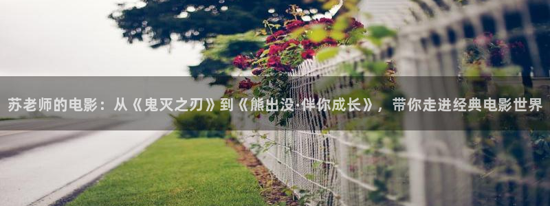 樱桃视频黄色版
