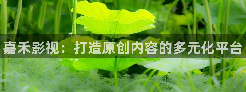 樱桃视频可以免费观看福利版