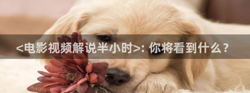 樱桃完整版