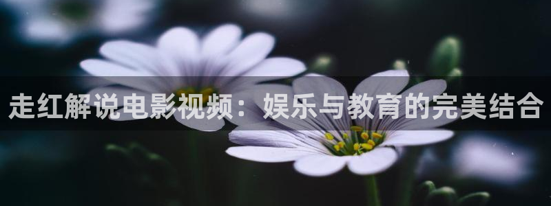 樱桃视频大全免费高清版观看下载