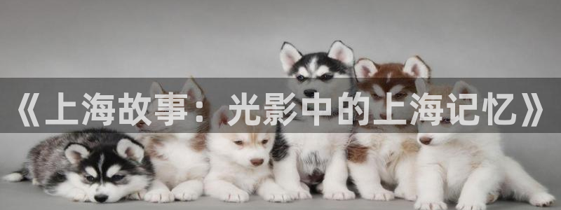 樱桃动漫在线观看免费高清电视剧全
