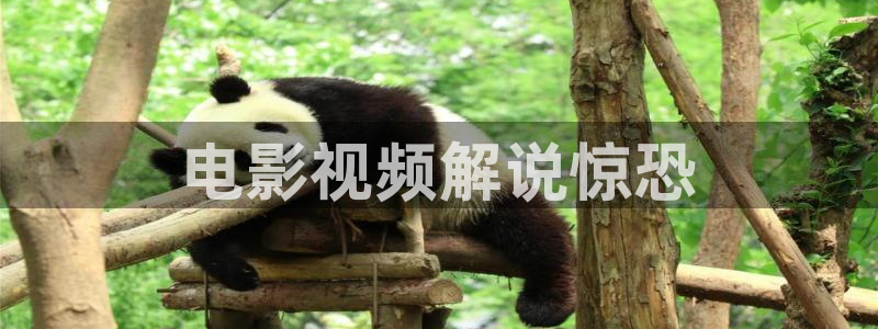 樱桃视频高清观看在线下载