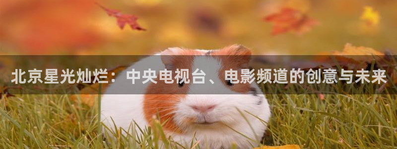 樱桃视频网页