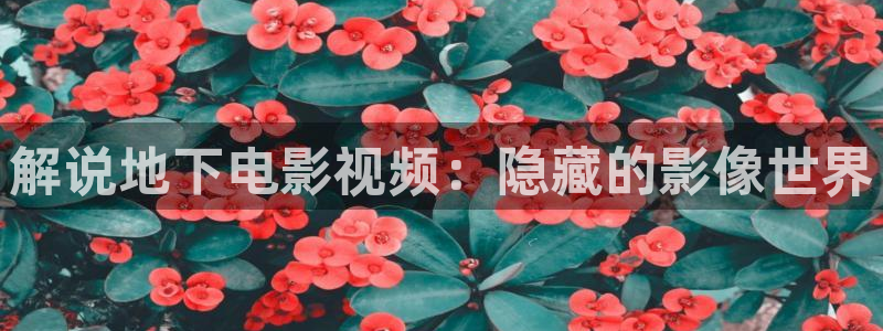 樱桃视频全集免费观看